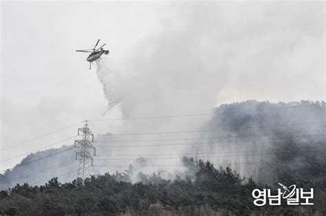 대구 앞산 불 1시간30분 만에 큰 불길 잡아 영남일보 사람과 지역의 가치를 생각합니다