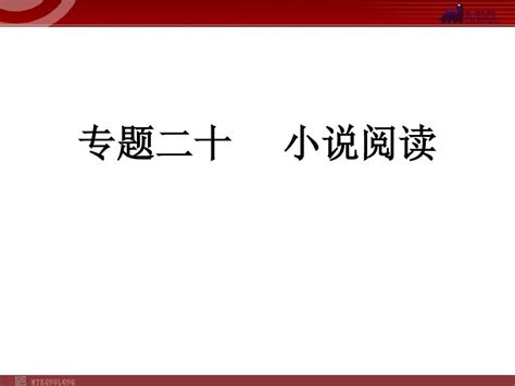 中考语文复习专题20 小说阅读课件word文档在线阅读与下载无忧文档