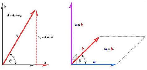 Cuál es el concepto y características de un Vector