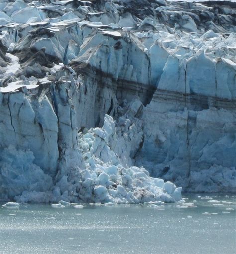 Lamplugh Glacier In Glacier Bay National Park Lamplugh Gla Flickr