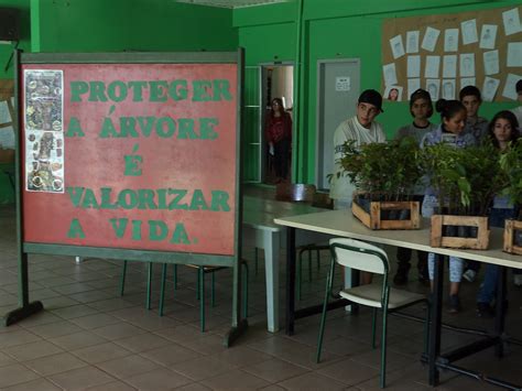 Escola Vidal Ramos Blumenau