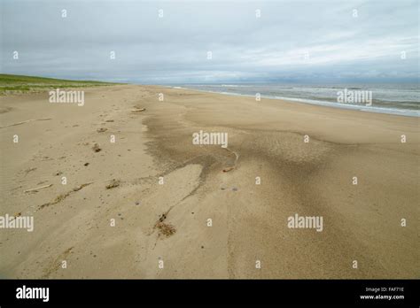 Nature and wildlife of the northern part of Sakhalin Island, Russia ...