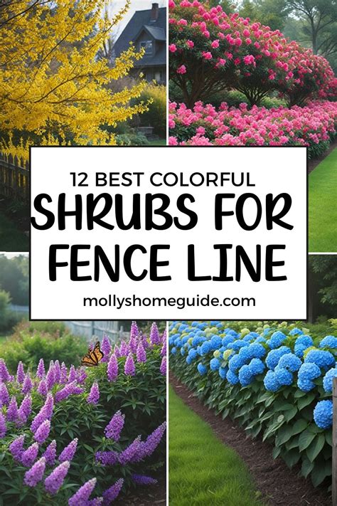 Best Colorful Shrubs For Fence Line Hedges Landscaping Fence