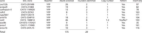 Transgenesis Rates And Copy Number Estimations For Selected Bac