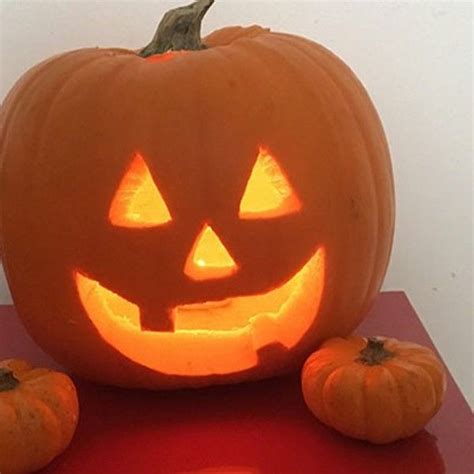 How To Carve A Halloween Pumpkin Easy Step By Step Guide Easy Pumpkin Carving Creative