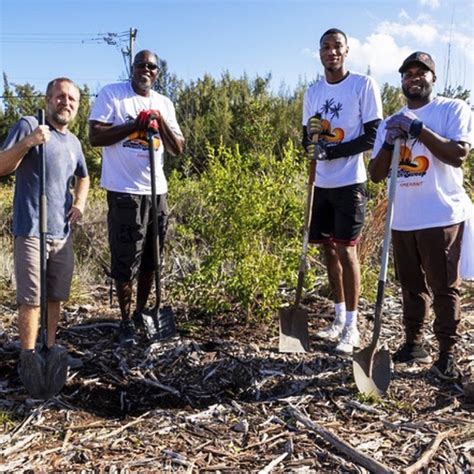 Official Bank Of The Miami Heat And Florida Panthers Amerant