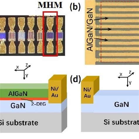 A Optical Photographs Of S Gan Msm S Algangan Mhm Devices B Sem