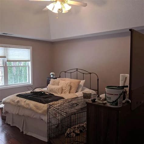 Sherwin Williams Temperate Taupe Sw 6037 Paint Color