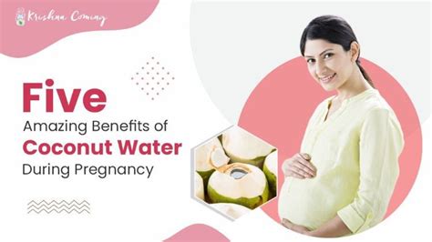 5 Amazing Benefits Of Coconut Water During Pregnancy