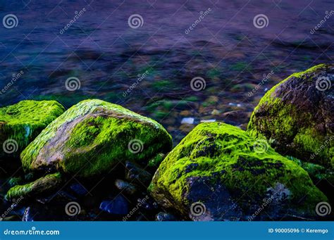 Moss Covered Rocks Stock Photo Image Of Horizon Details 90005096