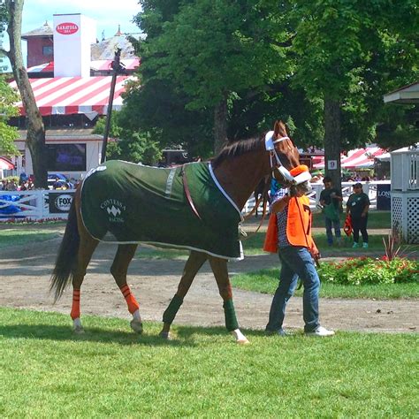 Detailed Guide to Seating Sections at Saratoga Race Course 14