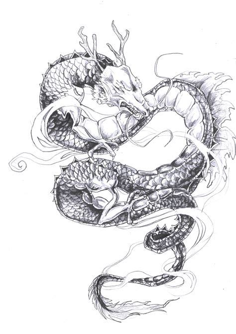 Dragon drawing tattoo by LUMOSme on DeviantArt