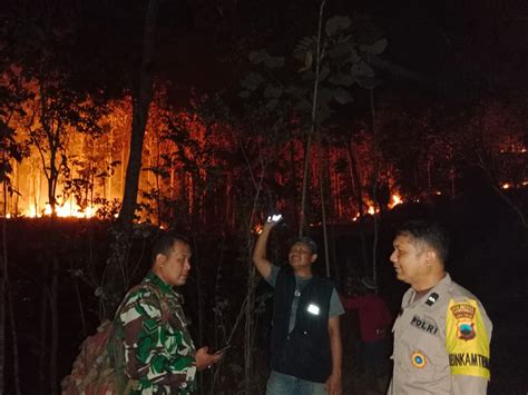 7 Hektar Lahan Dan Hutan Di Cilongok Hangus Terbakar