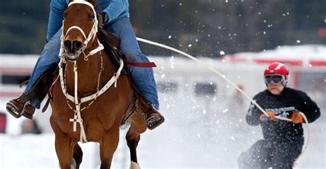 What is skijoring? | Newstalk