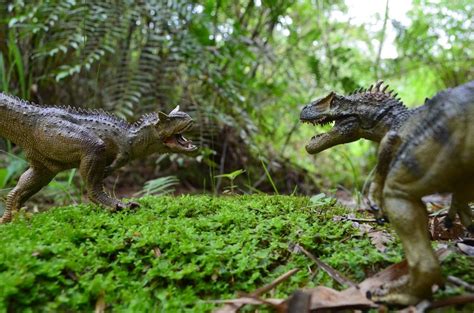 Carnotauro Vs Alosaurio