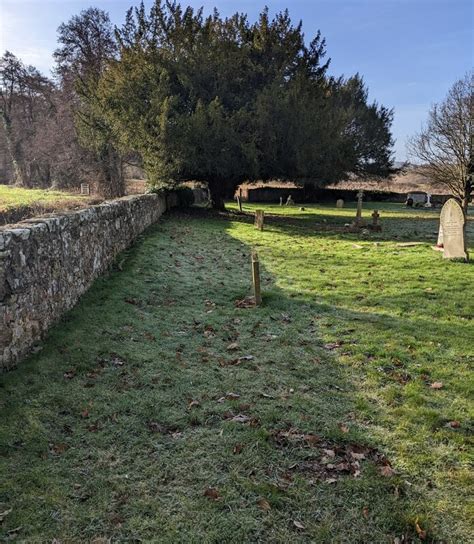 Yew In Winter Walford Herefordshire Jaggery Geograph Britain And