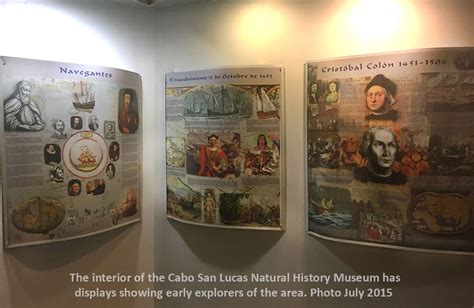 Natural History Museum Cabo San Lucas Los Cabos Guide Blog