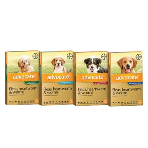 Dog Products | Vet Shop Online