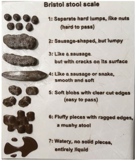 Stl Datei Bristol Stool Chart Scheisszeichen Kostenlosmodell Zum