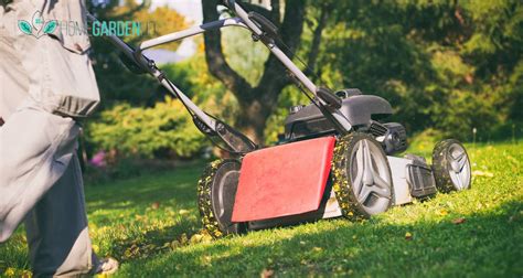 Best Mulching Lawn Mower For The Money In