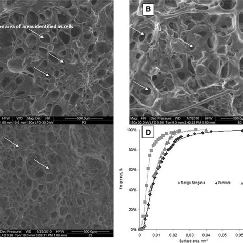 The Internal Structure Of Strawberries A Pandora B Bounty C Senga Download Scientific