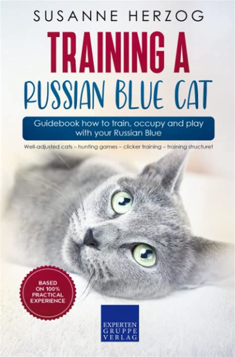 Training a Russian Blue Cat – Guidebook how to train, occupy and play ...