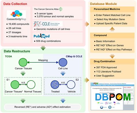 Frontiers A Comprehensive Tool For Tumor Precision Medicine With