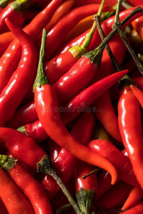 Healthy Organic Thai Red Chili Peppers Stock Photo - Image of freshness ...