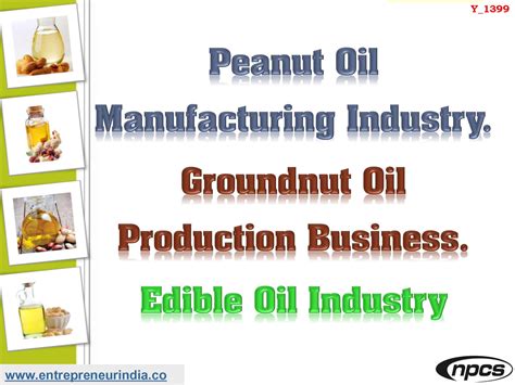 Peanut Oil Manufacturing Industry