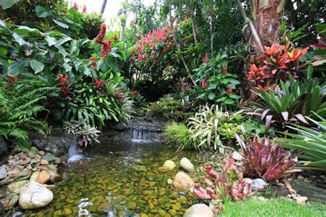 312 best Tropical Water Features images on Pinterest | Water features, Tropical and Tropical garden