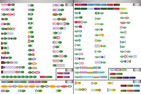 Domain Architectures And Gene Neighborhoods Of Various Proteins Related