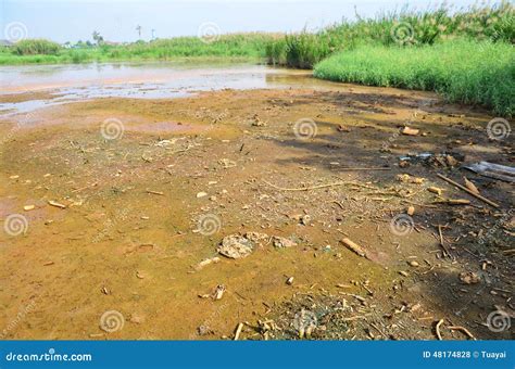 Effects Environmental From Chemicals And Heavy Metals In Soil Stock