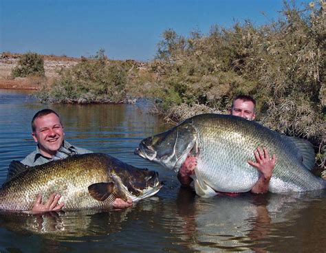 6 Days Uganda Sport Fishing Safari | Jinja & Murchison Falls National Park