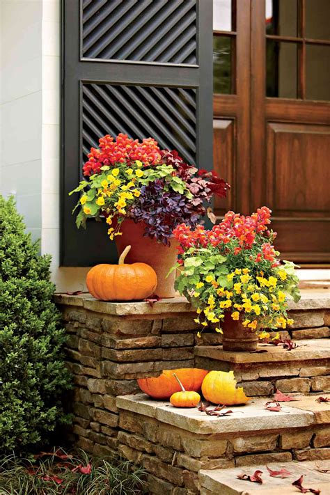 Best Fall Flowers For Pots