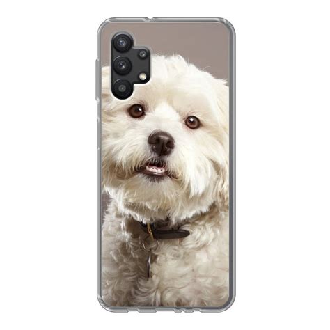 Muchowow Handyhülle Malteser Hund Porträt Handyhülle Samsung Galaxy