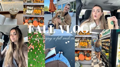 FALL VLOG Trader Joes Fall Haul Pumpkins Fall Decor Small Town