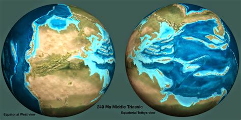 The Natural World 240 Mya Messing Around In The Mid Triassic