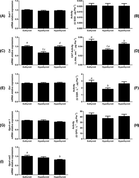 Relative Transcript Expression And Activity Of Antioxidant Enzymes In