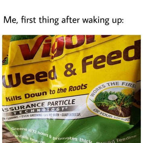 Weed Memes, part 2 | Fun