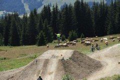 Mountain Biking In Morzine ACTIVE AZUR