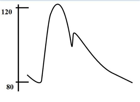 BLOOD PRESSURE Lab 6 Diagram Quizlet