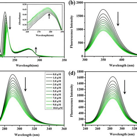 A Uvvis Spectrum Of Bsa 100 μm 500 Mm Trishcl 500 Mm Nacl