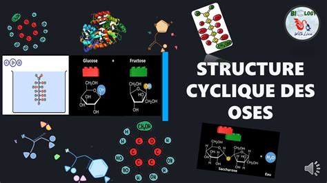 Glucides La Structure Cyclique Des Oses Structure De HAWORTH YouTube