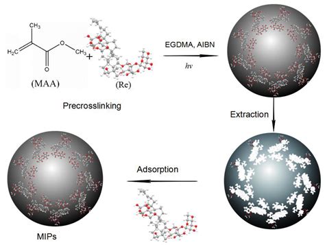 Polymers Free Full Text Mechanism Analysis Of Selective Adsorption