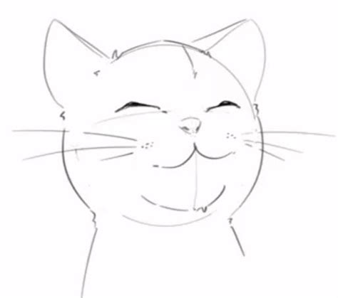 Easy Drawing Guide: How to Draw a Cat Face | XPPen