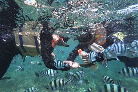 Snorkelling 3 Gili West Lombok Daily Tour Gili Nanggu Gili Sudak