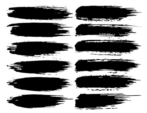 Set of brush strokes, Black ink grunge brush strokes. Vector ...