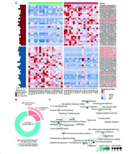 | Characterization and functional analysis differentially expressed ... 