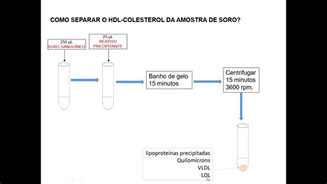 An Lise De Triglicer Deos Colesterol E Lipoprote Nas Videoaula De