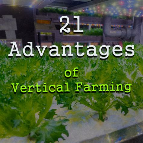 21 Advantages Of Vertical Farming Comprehensive List